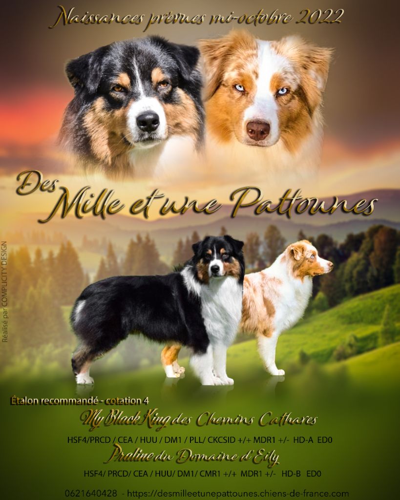 Portée Praline 2022