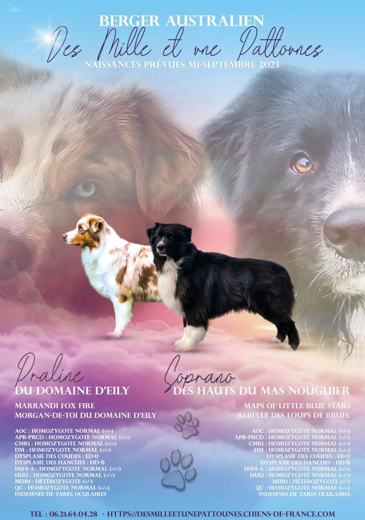 Portée Praline 2023